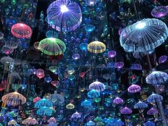 -梵高星空艺术馆(北京旗舰店)