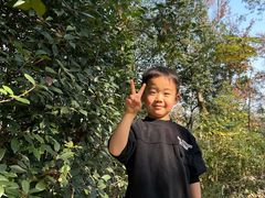 -青龙山国家森林公园