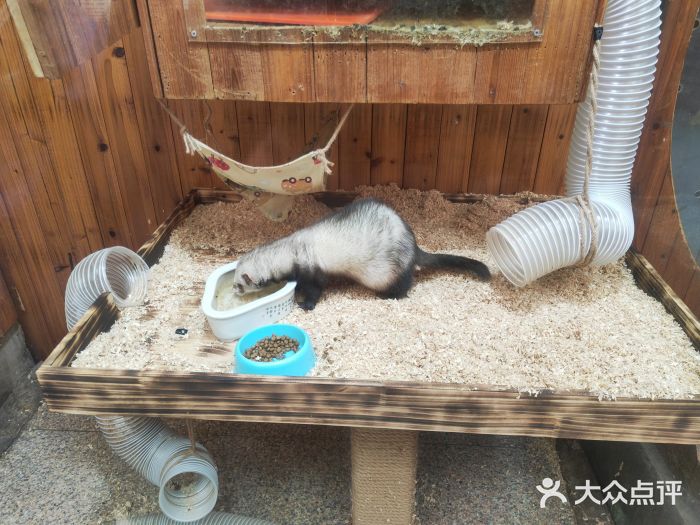 上海大自然野生昆虫馆景点图片