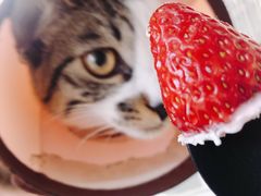 -卷心卷意·轻甜蛋糕(新光天地店)