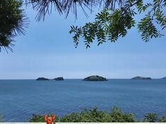 -棒棰岛宾馆景区