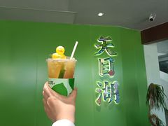 -天目湖山水园