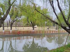 -九科绿洲