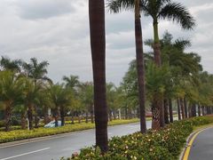 -黄金海岸环岛路