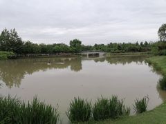 -西安浐灞国家湿地公园
