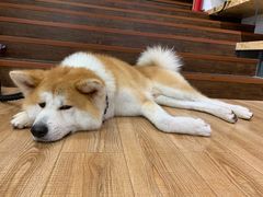 -YCHL Studios健身工作室(市二宫店)