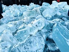 -长春市南湖公园