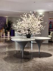 -广州美莱医疗美容医院