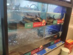 -鱼酷活鱼烤鱼(南京水游城店)