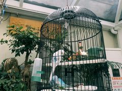 -丽江庭院之丽江往事(安定门店)