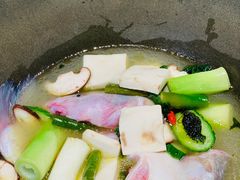 优选新鲜鮰鱼-滇色蒸汽石锅鱼(京华城店)