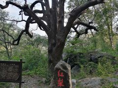 -北京密云天门山风景区
