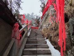 -塔云山