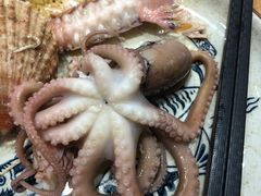 -77号渔船·蒸海鲜青岛菜(积米崖店)