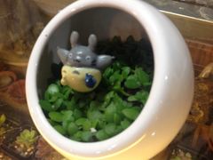 iphone_upload_pic-双季花艺园艺市场(浦东店)