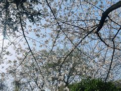 -南京市江宁方山
