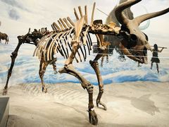 -辽宁古生物博物馆
