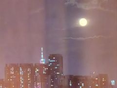 -广州白天鹅宾馆