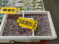 -寻味顺德·南记酒家·传统顺德菜·鱼生(广源路店)