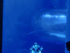 -太平洋海底世界