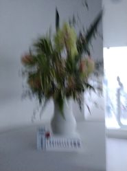 -颜蕾医美·黄金微针·水光·玻尿酸·超声炮
