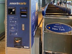 -约翰·菲茨杰拉德·肯尼迪国际机场