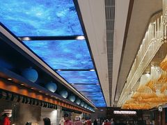 -皇马假日醉海南大酒店·假日一品派茶楼(秀英店)