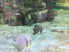 -长春农博园
