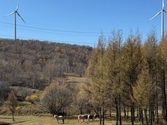 -塞罕坝国家级自然保护区