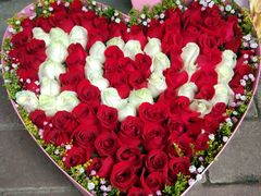 -绿韵花艺鲜花店(解放南路店)