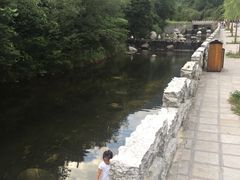 -牛背梁国家森林公园