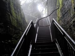 -梦幻奥陶纪景区