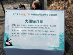 -都江堰中华大熊猫苑