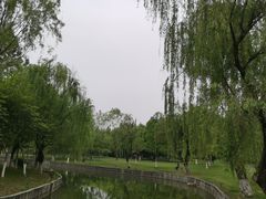 -中央公园(苏州工业园区)