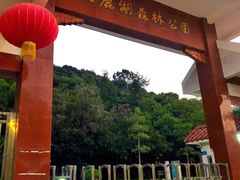 -天鹿湖森林公园