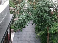 -滕头生态酒店(奉化店)