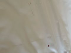 -铂逸梦秦酒店(横店梦幻谷店)