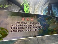 -梦幻海洋王国(吾悦广场张家港店)