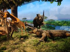 -国家自然博物馆