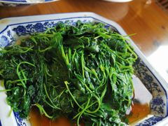 酒香草头-洞天食府(北大街店)