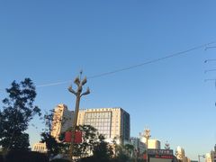 -尕胡才炕锅烤羊肉馆(八一路店)