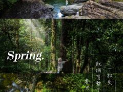 -龙苍沟森林公园