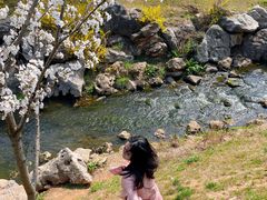 -羊山湖公园