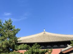 -善化寺