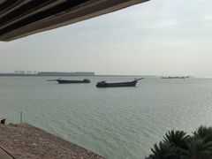 -大湾区中央湿地公园