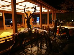 -蓝鲸湾汤泉(包河店)