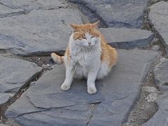 -雁门关景区