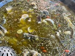 -鲜椒鱼·雅安地标性美食