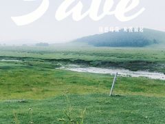 -乌兰布统草原