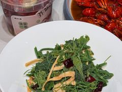 -杨氏青龙虾·羊蝎子(托乐嘉店)